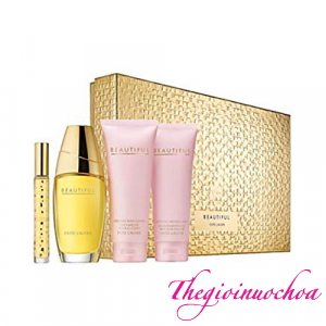 Gift Beautiful 4pc