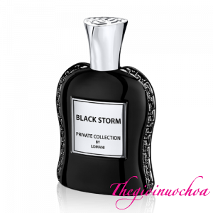 Black Storm Private Collection By Lomani For Men EDP